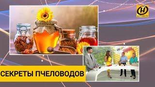 Секреты от пчеловодов. Как выбирать мёд? Покупаем лучший мёд