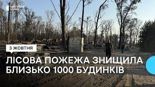 На Харківщині у лісовій пожежі згоріло самовільне дачне поселення: четверо людей загинули