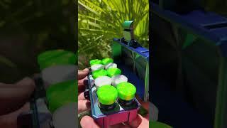10 x 5ml – Perfect for Your Summer Stack
