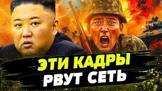 КОРЕЙЦЫ БЕГУТ С ПОЗИЦИЙ! СОТНИ ДВУХСОТЫХ! ВСУ ВЛУПИЛИ ПО ПЕРВОМУ ЗАГОНУ армии КНДР!