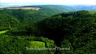 Waldviertel - echt & unverfälscht