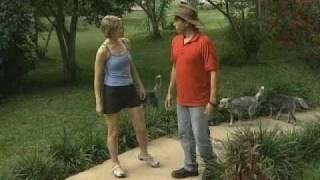 Samantha Brown: Passport to Latin America: Costa Rica