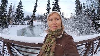 #1072 США Аляска Капризы природы В поисках смысла жизни