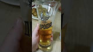 Пинта светлого лагера  Scotty West #shorts #beer #lager #пиво