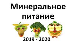 9. Минеральное питание (6 класс) - биология, подготовка к ЕГЭ и ОГЭ 2020