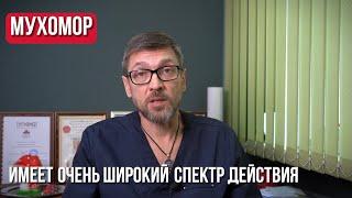 Эффекты от микродозинга мухоморов | МухоморыЧ