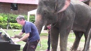 Distraction: Elephant plays blues piano