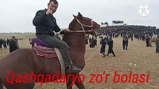 #_BahromMahmudzoda O'tkirboyning "O'ZGAN" laqabli otida... ️ +998883113331