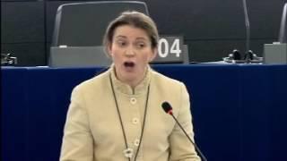 Catherine Stihler MEP EU referendum - Cameron Tusk negotiation