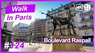 Boulevard Raspail, Paris, France | Walk In Paris