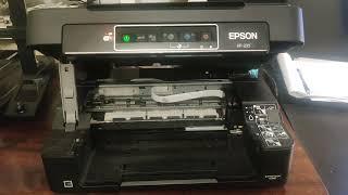 Epson xp 235 skylots