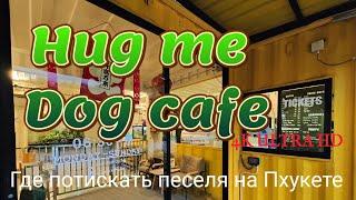 Кафе где можно пообниматься с собачками на Пхукете. Hug me Dog Cafe Thailand Phuket 2022.