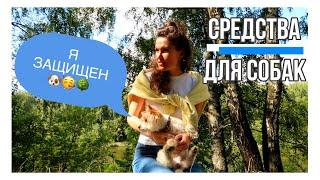 3 лучших средства от клещей ДЛЯ СОБАК