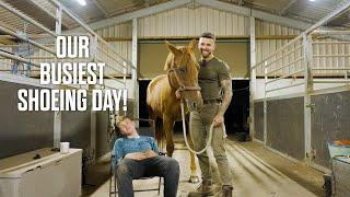 Our Busiest shoeing day EVER! Day in the life of a Farrier in Yorkshire