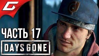 DAYS GONE (Жизнь После)  Прохождение #17  ТУПОЕ ССЫКЛО