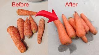 How to Make Carrots Fresh Again