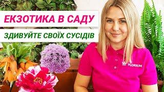 Екзотичні рослини для саду. Вибір експерта | Экзотические растения для сада. Выбор эксперта