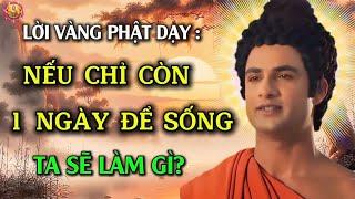 Lời Vàng Phật Dạy - Nếu Chỉ Còn 1 Ngày Để Sống - Ta Sẽ Làm Gì ? - Ngộ Pháp Phật Đà