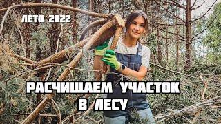 #2 Расчищаем участок в лесу под строительство! Начало новой жизни! Лето 2022.