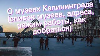 О музеях Калининграда (список музеев, адреса, режим работы, как добраться)