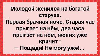 Молодой Женился На Богатой Старухе! Сборник Свежих Анекдотов! Юмор!