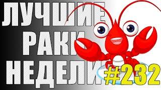 ЛРН выпуск №232  КОЛЕСНЫЙ АРТАВОД и РАКООБРАЗНАЯ ВАНГА [Лучшие Раки Недели]