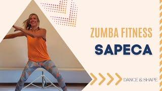 SAPECA | Aroxa ft. Topo La Maskara | ZUMBA | Brazilian Funk | ZIN 104