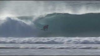 Day Four Highlights / Volcom FIji Pro 2012