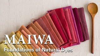 The Natural Dye Workshop - Trailer