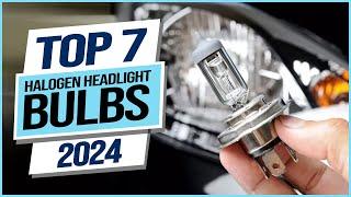 Top 7 Best Halogen Headlight Bulbs 2024