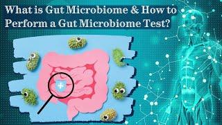 What is Gut Microbiome & How to Perform a Gut Microbiome Test