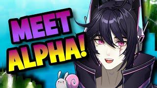 Meet Alpha Aniki! The Best Big Brother You Never Had!