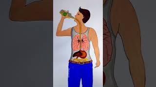 Boy's stop drinking  and save your life #rifanaartandcraft #youtubeshorts #shortvideo #rifanaart