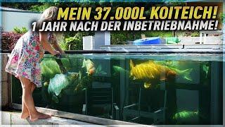 Mein 37.000l KOITEICH! 1 Jahr nach der INBETRIEBNAHME!