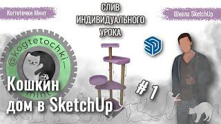 Помоделимка. Кошкин дом в SketchUp. 1 серия