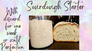 Creating And Sustaining Your Homemade Sourdough Starter With Discard For 1 Week Or Until Perfection