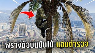 ทำงานดำแล้วพรางตัวบนต้นไม้แอบตำรวจ ในเกม GTA V Roleplay