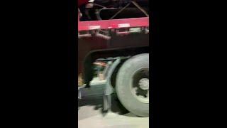 Record the life of a truck driver with Douyin #Chinese rural dog