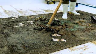 I Found A Handwoven Silk Rug In The Trash – Deep Cleaned To Perfection Carpet Cleaning ASMR