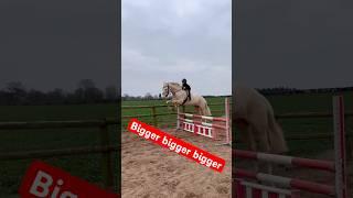 Bigger bigger bigger Jump #horse #showjumping #equestrian #horseriding #horselover