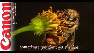 Sometimes you just don't get what you want - keep trying-