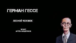 Герман Гессе "Лесной человек". Аудиокнига. Читает Артём Мещеряков. Сказка. 1919 год.