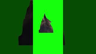 Screaming Cat Meme | Green Screen