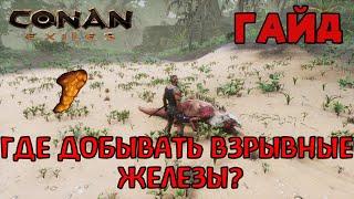 | Conan Exiles | Гайд | Где добыть взрывные железы в землях изгнанников |