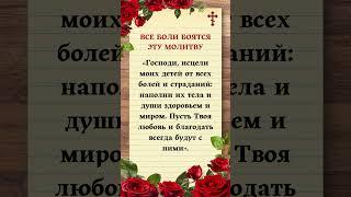 Те из вас, кто испытывает боль и нуждается в Божьей помощи, пожалуйста, напишите «Аминь»!