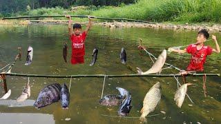 FULL VIDEO 10 days: Bac's solo survival skills, catching fish in large streams, harvesting crabs.