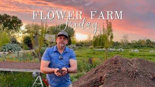 Spring Blooms & Composting Secrets at Park Winters  Flower Farm Fridays