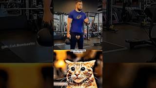 BOMBASTIC AURA #cat #meme #dance #trending #latest
