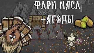 ферма индюков | типа гайд | Don't Starve Together