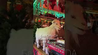 Бар Canada. Село Туношна у города Ярославль. Куда сходить в Ярославле? Ярославская область.